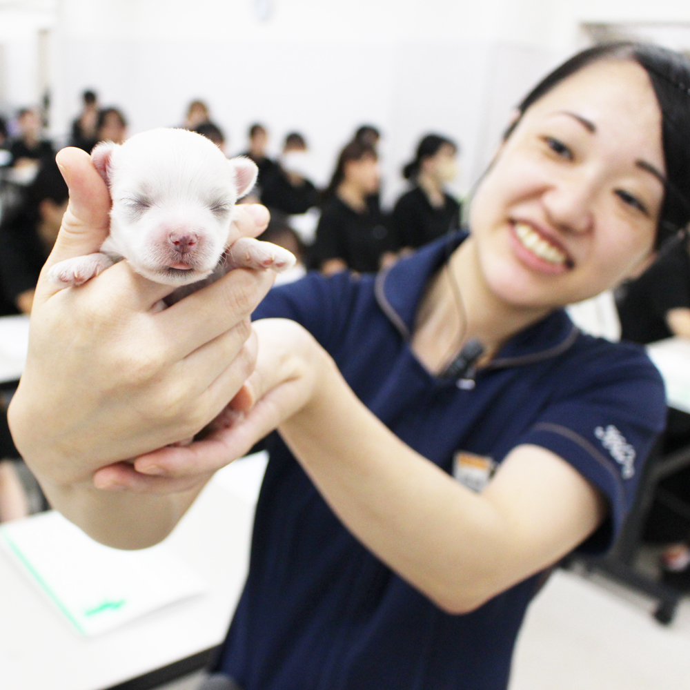 子犬と一緒に犬学を勉強！